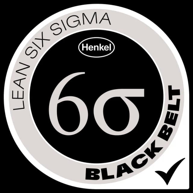 Six Sigma Black Belt Certified
